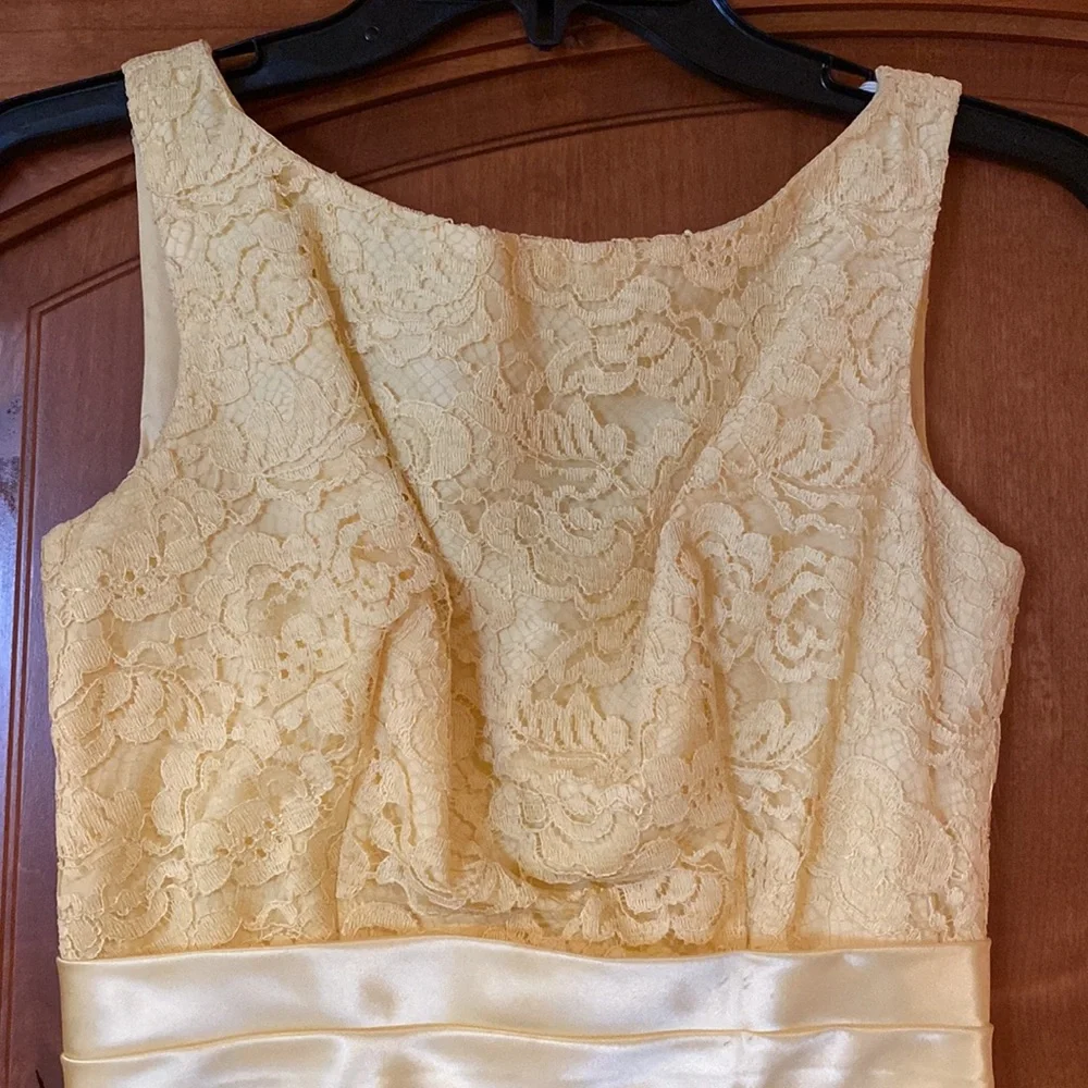 Vintage Formal Dress - Picture 4 of 17